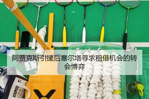 阿贾克斯引援后塞尔塔寻求租借机会的转会博弈