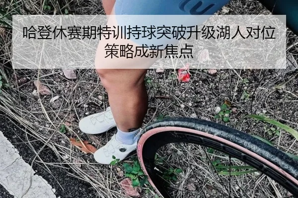 哈登休赛期特训持球突破升级湖人对位策略成新焦点